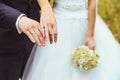 Newly wed couple's hands with wedding rings