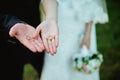 Newly wed couple's hands with wedding rings