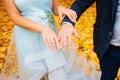 Newly wed couple`s hands with wedding rings Royalty Free Stock Photo