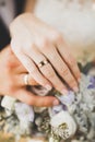 Newly wed couple's hands with wedding rings Royalty Free Stock Photo