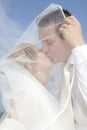 Newly weds Royalty Free Stock Photo