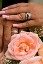 Newly Weds Holding Hands Royalty Free Stock Photo