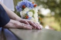 Newly weds holding hands Royalty Free Stock Photo