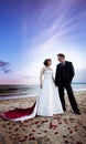 Newlywed couple on beach Royalty Free Stock Photo