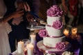 Newlywed couple carving delicious white wedding cake