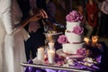 Newlywed couple carving delicious white wedding cake