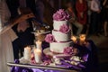 Newlywed couple carving delicious white wedding cake