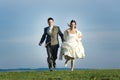 Newlywed couple in countryside Royalty Free Stock Photo