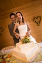Newlywed couple cutting cake