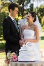 Newlywed couple cutting wedding cake at park Royalty Free Stock Photo