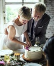 Newlywed Couple Hands Cutting Cake Together Royalty Free Stock Photo