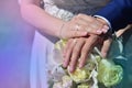 The newlywed couple is holding a beautiful wedding bouquet. Classical wedding photography, symbolizing unity, love and the creati