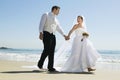 Newlywed Couple Holding Hands While Walking On Beach Royalty Free Stock Photo