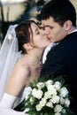 Newlywed couple kissing Royalty Free Stock Photo