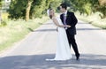 Newlywed couple on road Royalty Free Stock Photo