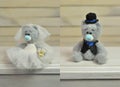 Newlyweds bears. toy for children