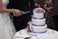 Newlyweds carving delicious white wedding cake with purple roses