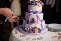 Newlyweds carving delicious white wedding cake with purple roses