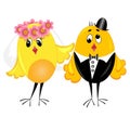 Newlyweds.couple on wedding. illustration. Royalty Free Stock Photo