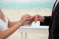 Newlyweds exchange rings, groom puts the ring on the bride& x27;s hand. Royalty Free Stock Photo