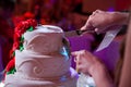 Newlyweds hands cut wedding cake Royalty Free Stock Photo