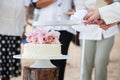 Wedding cutting a wedding cake Royalty Free Stock Photo
