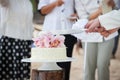 Wedding cutting a wedding cake Royalty Free Stock Photo