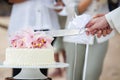 Wedding cutting a wedding cake Royalty Free Stock Photo