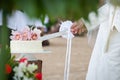 Wedding cutting a wedding cake Royalty Free Stock Photo