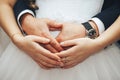 Newlyweds, hands, rings Royalty Free Stock Photo