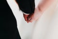 The newlyweds hold hands. Royalty Free Stock Photo