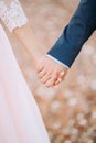 The newlyweds hold hands. Couple holding hands. Wedding in Monte Royalty Free Stock Photo