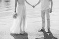 Newlyweds hold hands on the sea. Couple holding hands. Wedding i Royalty Free Stock Photo