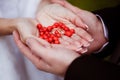 Newlyweds hold wedding rings and red berries in the palms of their hands Royalty Free Stock Photo