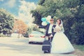 Newlyweds on a journey, tinted Royalty Free Stock Photo