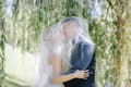 Newlyweds kiss under a veil on background willow