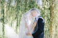 Newlyweds kiss under a veil on background willow