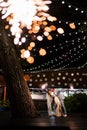 newlyweds with sparklers in night park with garlands in trees. ending to wedding