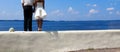 Newlyweds stand holding hands and look into the distance at sea Royalty Free Stock Photo