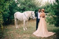 Newlyweds standing near white horse in nature Royalty Free Stock Photo