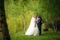 The newlyweds are walking in the park on the wedding day. The bride and groom Enjoying at the wedding day Royalty Free Stock Photo