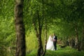 The newlyweds are walking in the park on the wedding day. The bride and groom Enjoying at the wedding day Royalty Free Stock Photo