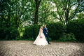 Newlyweds are walking in the park on the wedding day. The bride and groom Enjoying at the wedding day Royalty Free Stock Photo