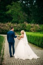 The newlyweds are walking in the park on the wedding day. The bride and groom Enjoying at the wedding day. Sunny weather. Royalty Free Stock Photo