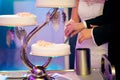 Newlyweds wedding cake cutting detail Royalty Free Stock Photo