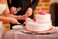 Newlyweds wedding cake cutting detail Royalty Free Stock Photo