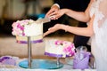 Newlyweds wedding cake cutting detail Royalty Free Stock Photo