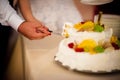 Newlyweds wedding cake cutting detail Royalty Free Stock Photo