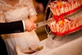 Newlyweds wedding cake cutting detail Royalty Free Stock Photo