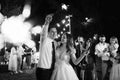 newlyweds at a wedding of sparklers Royalty Free Stock Photo